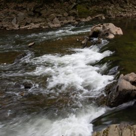 A running river