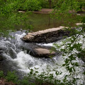 A river running over logs