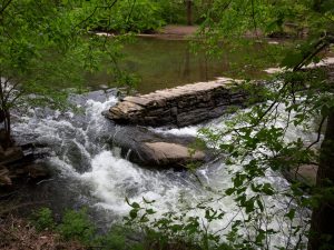 A river running over logs