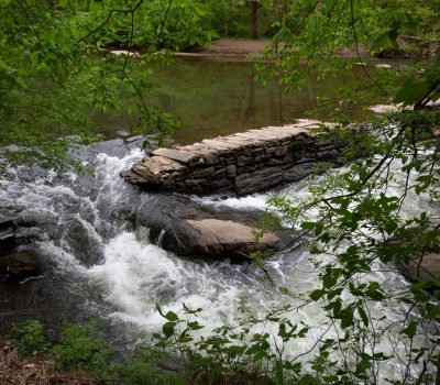 A river running over logs